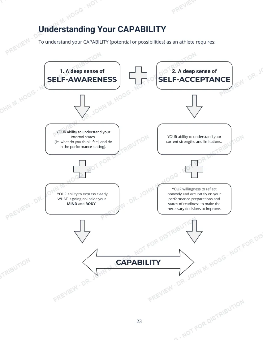 Sample page: Understanding your capability